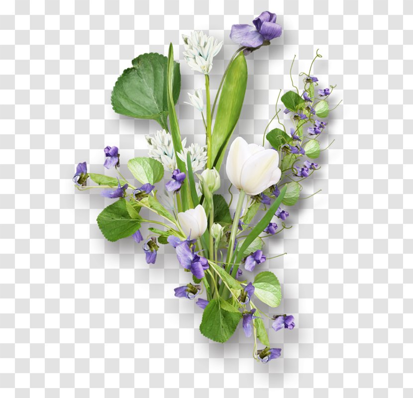 Floral Design Clip Art - Home Page - Lavender Transparent PNG
