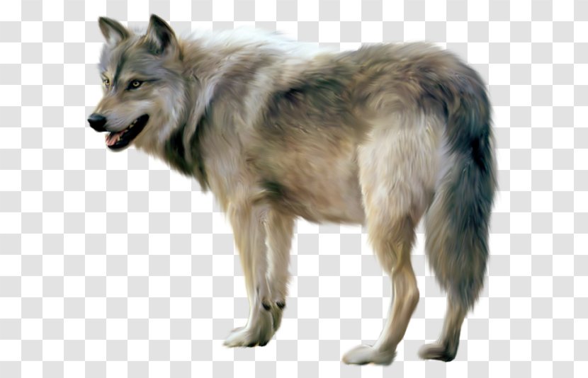 Gray Wolf Clip Art - Wolfdog - Painted Clipart Transparent PNG