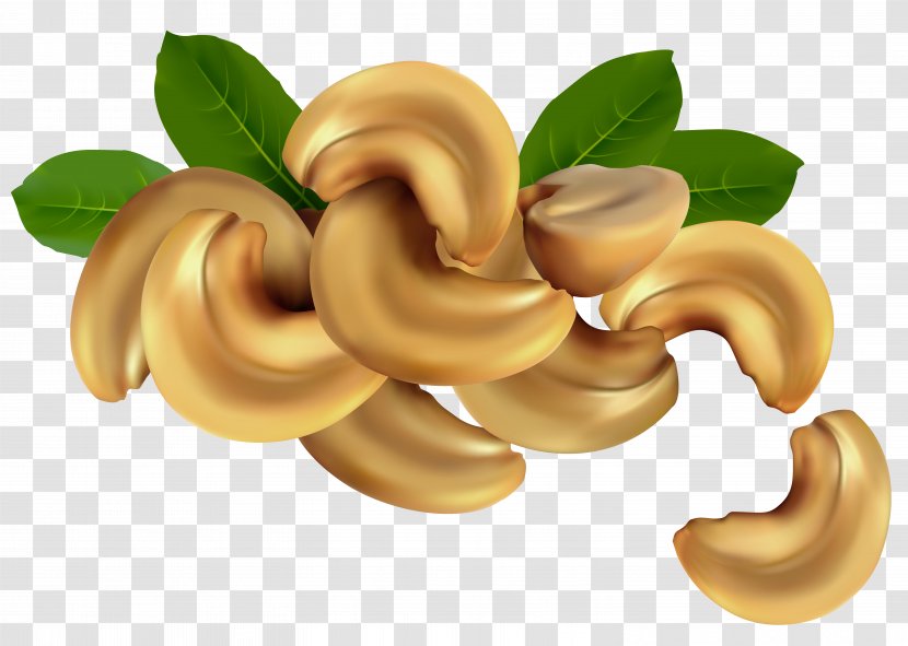 Cashew Nucule Royalty-free Stock Illustration - Walnut - Nuts Clipart Image Transparent PNG