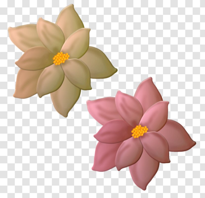 Flower PhotoScape Clip Art - Bayan Mod Transparent PNG