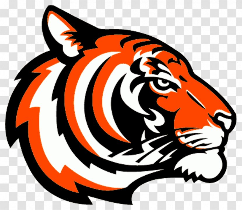 Bengal Tiger Logo Clip Art - Head - Cincinnati Bengals Transparent PNG