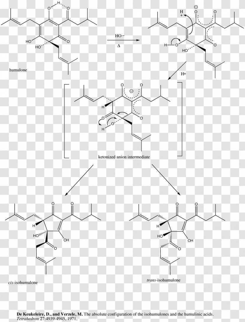 Drawing Point Pattern - Text - Design Transparent PNG