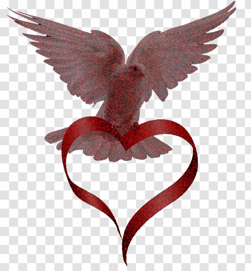 Valentines Day Heart - Release Dove - Hummingbird Wing Transparent PNG