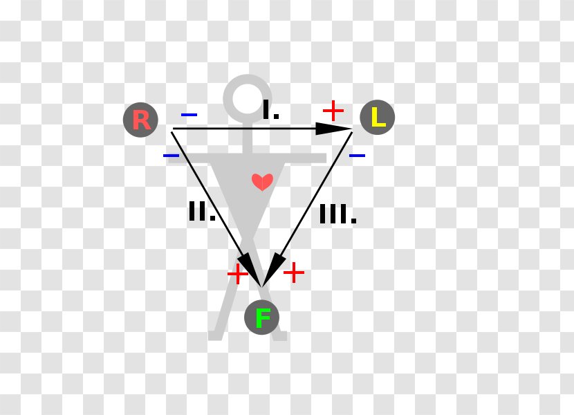 Einthoven's Triangle Electrocardiography Heart Triangolo Di Einthoven Electrode - Cardiology - Double Transparent PNG