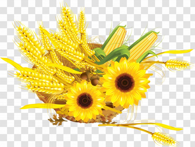 Common Sunflower Maize Cereal Wheat Press Cake - Dandelion Transparent PNG