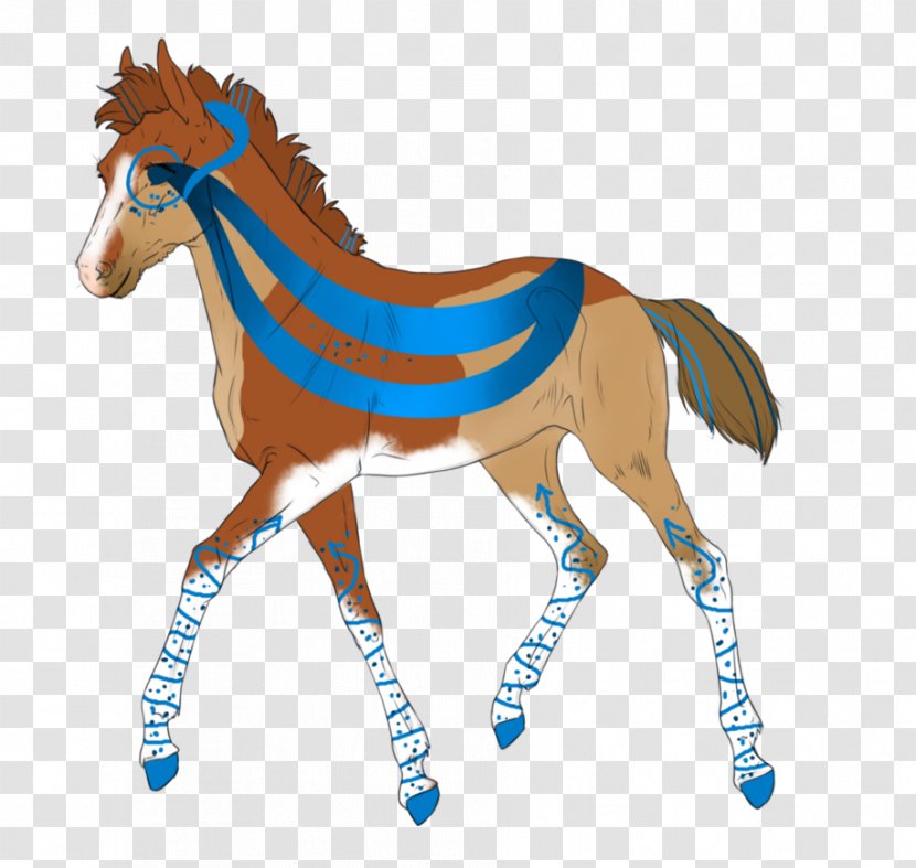 Mustang Pony Foal Colt Stallion Transparent PNG