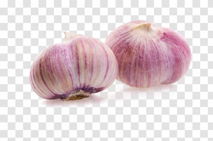 Garlic Shallot Red Onion - Gratis Transparent PNG