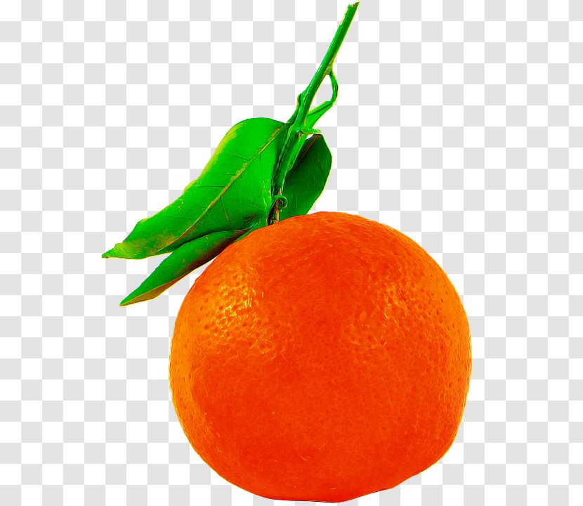 Orange - Tangerine - Food Rangpur Transparent PNG
