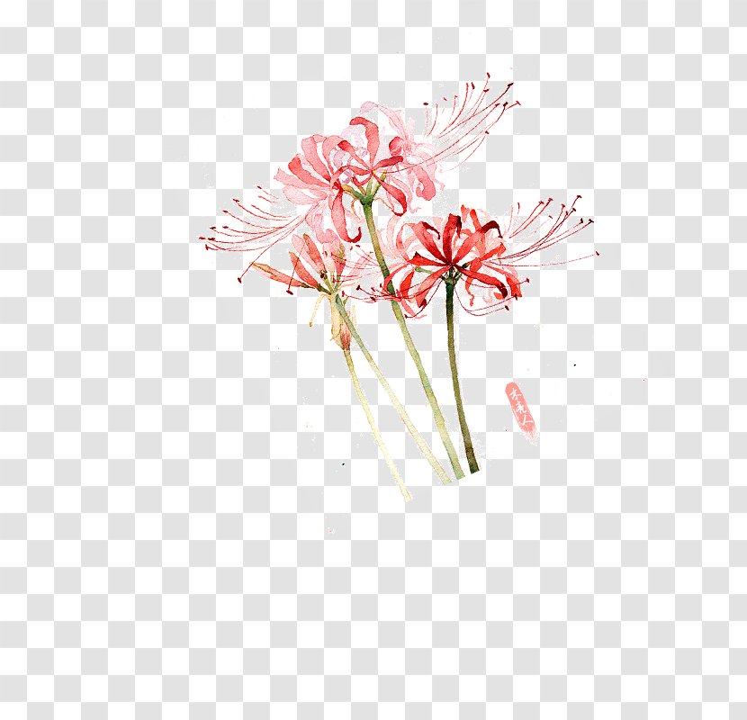 Red Spider Lily Image Adobe Photoshop Floral Design - Painting - Floristry Transparent PNG