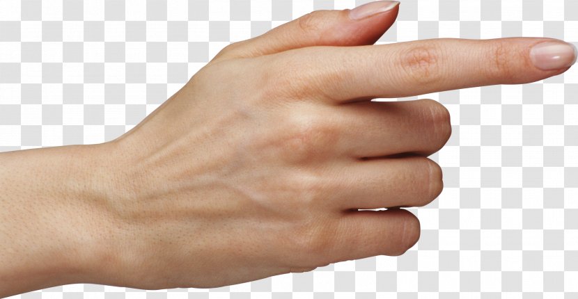 Finger Hand - Digit - Hands , Image Free Transparent PNG