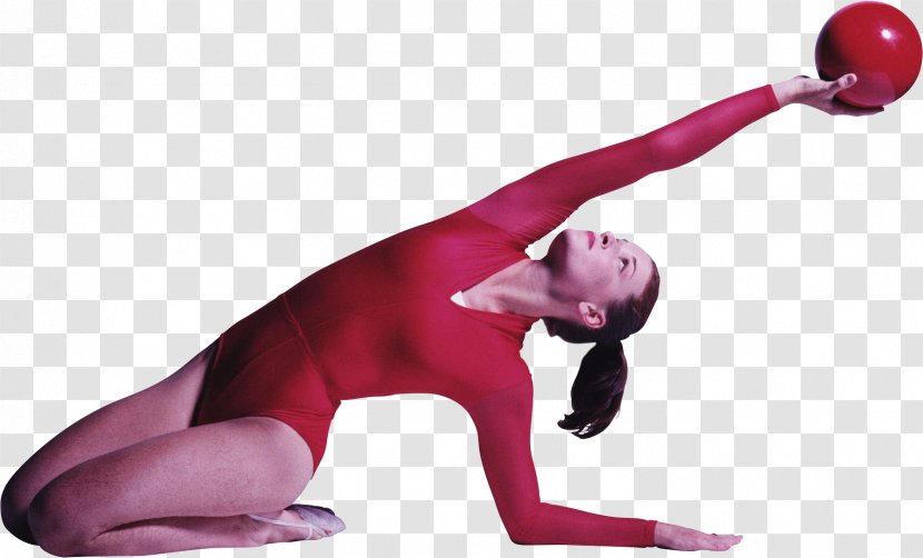 Rhythmic Gymnastics Exercise Health Acrobatic - Shoulder Transparent PNG