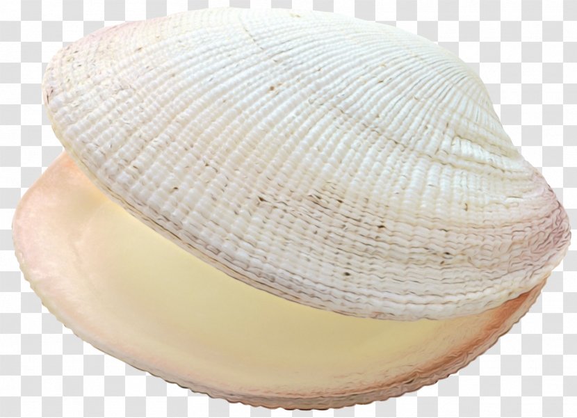 Watercolor Cartoon - Clam - Cap Beige Transparent PNG