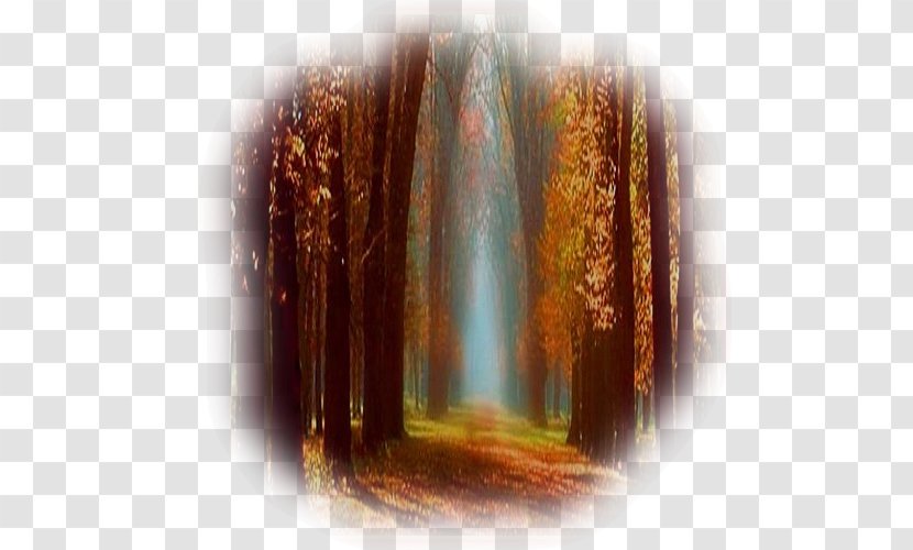 Painting Brush Forest Road Path - Landscape Transparent PNG