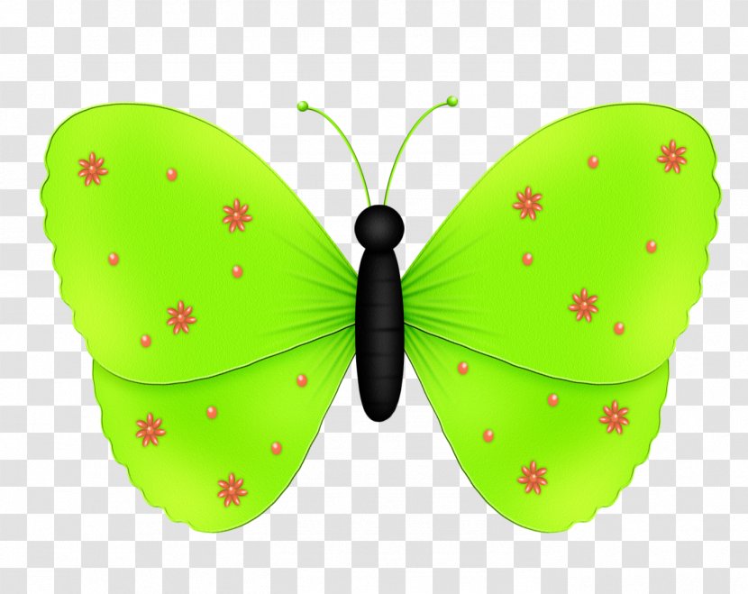 Drawing Pink Color Butterfly Transparent PNG