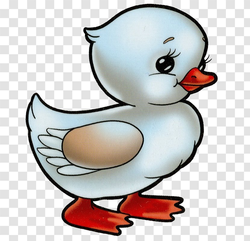 Duck Drawing Clip Art - Ducks Geese And Swans Transparent PNG