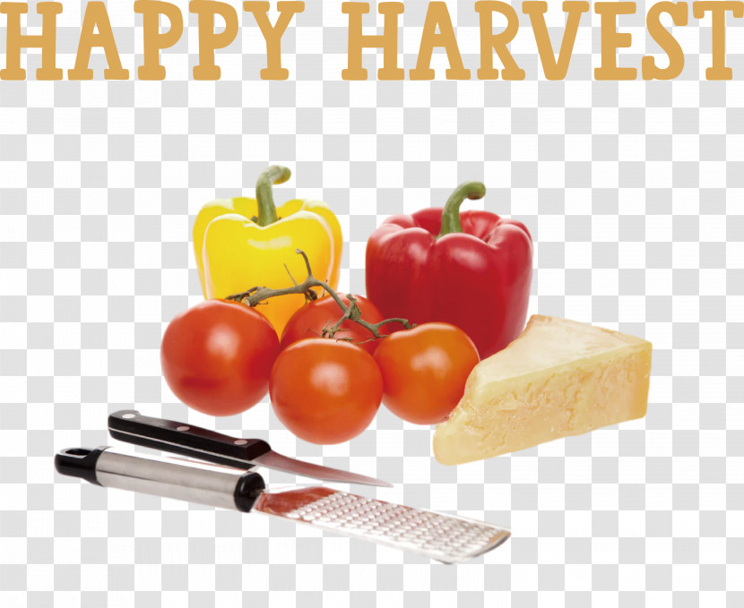 Happy Harvest Harvest Time Transparent PNG