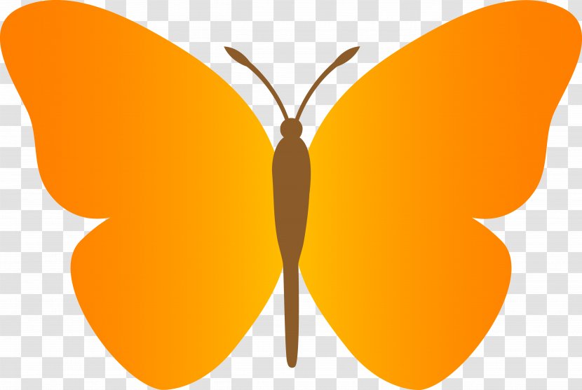 Butterfly Clip Art - Wing - Pollinator Transparent PNG