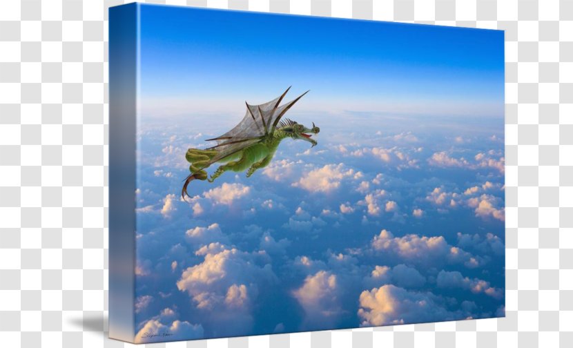 Dragon Stock Photography Fantasy - Computer Transparent PNG