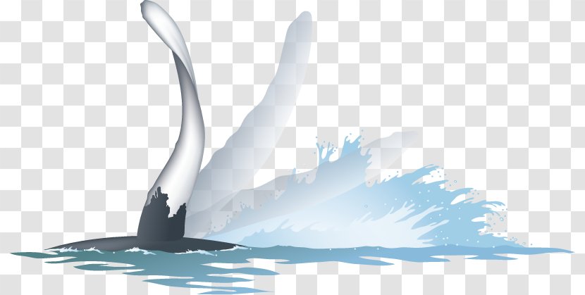 Desktop Wallpaper Water Energy Computer - Whale Watching Transparent PNG