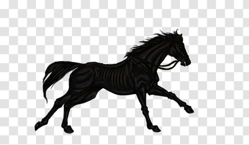 Mane Mustang Stallion Shire Horse Pony Transparent PNG