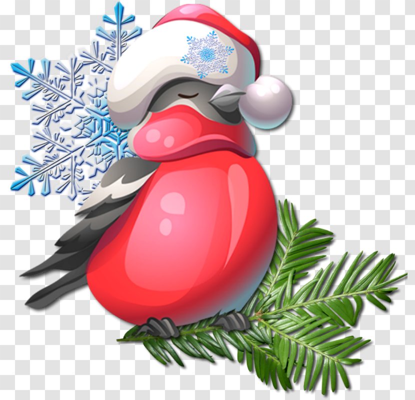 Beak Christmas Ornament Bird Clip Art Transparent PNG