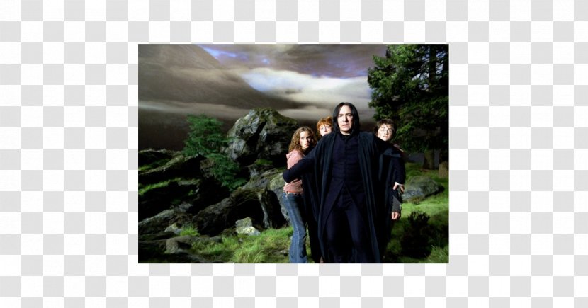 Professor Severus Snape Harry Potter And The Prisoner Of Azkaban Hermione Granger Ron Weasley - J K Rowling Transparent PNG
