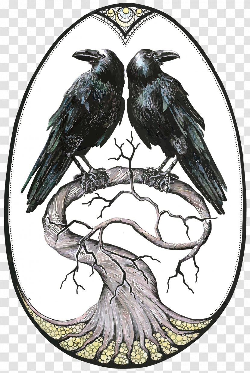 Common Raven Rook Bird - Vector Transparent PNG