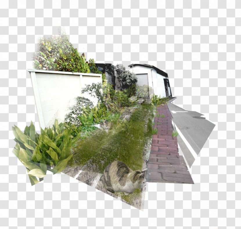 Land Lot Tree Roof Herb Real Property Transparent PNG