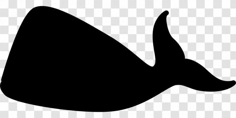 Cetacea Marine Mammal Killer Whale Beluga Clip Art - Silhouette - Black And White Transparent PNG