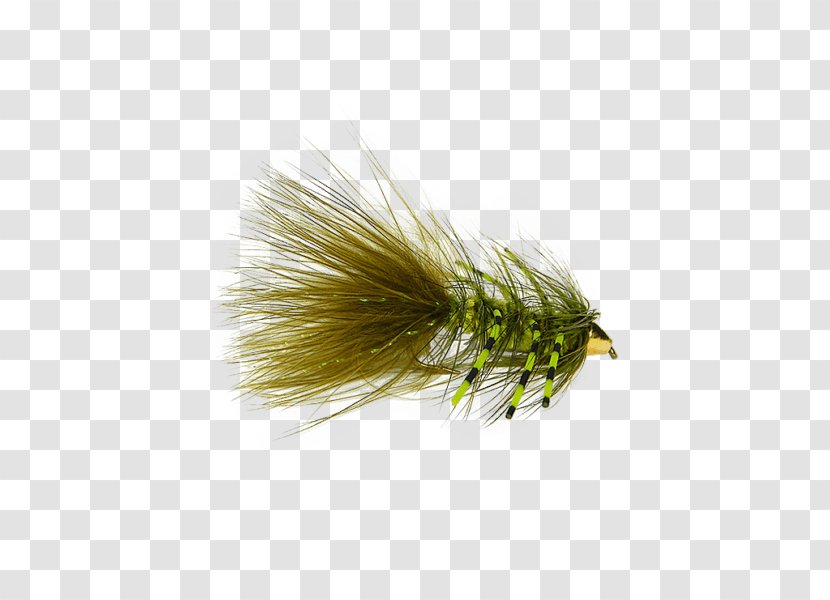 Artificial Fly Woolly Bugger Fishing Bead Transparent PNG