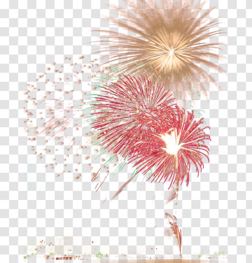 Fireworks Firecracker New Year - Explosion Transparent PNG