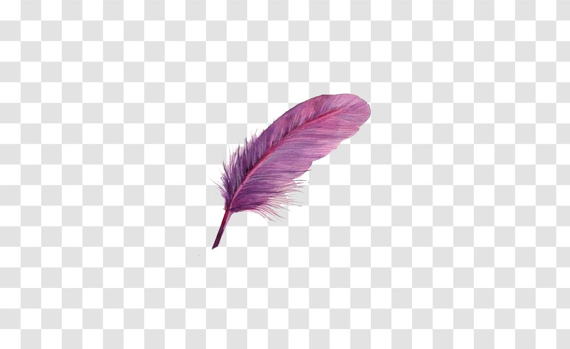 Bird Feather Purple - Feathered Hair - Feathers Transparent PNG