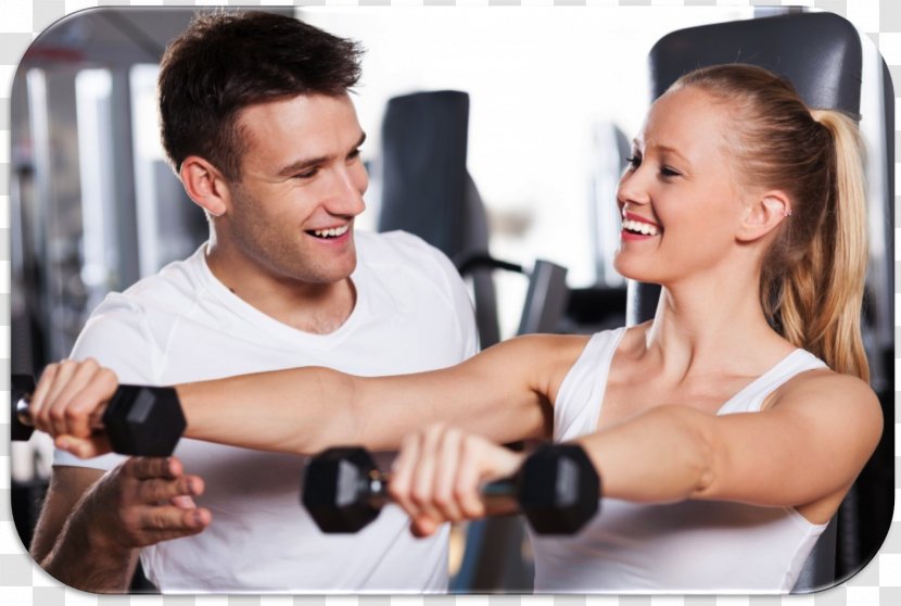 Fitness Centre Personal Trainer Physical Exercise Weight Training - Coach - Diplome Transparent PNG