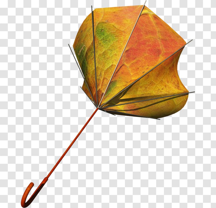 Umbrella Icon - Leaf - Hand-painted Umbrellas Transparent PNG