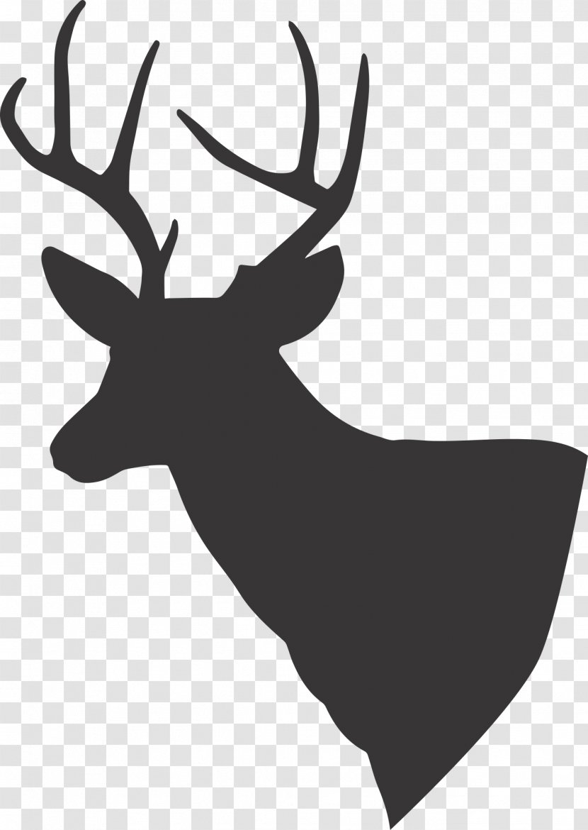 White-tailed Deer Reindeer Moose Elk Transparent PNG