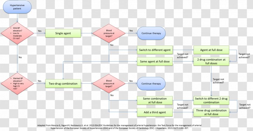 Management Of Hypertension Therapy Diuretic Furosemide - Diagram Transparent PNG