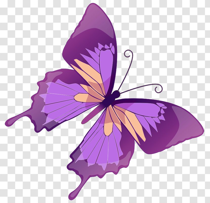 Butterfly Euclidean Vector Stock Illustration Graphics - Flower - Transparent Purple Picture Transparent PNG