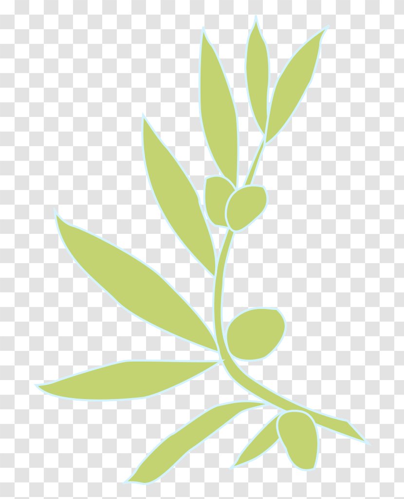 Leaf Plant Flower Tree Branch - Flowering Stem Transparent PNG