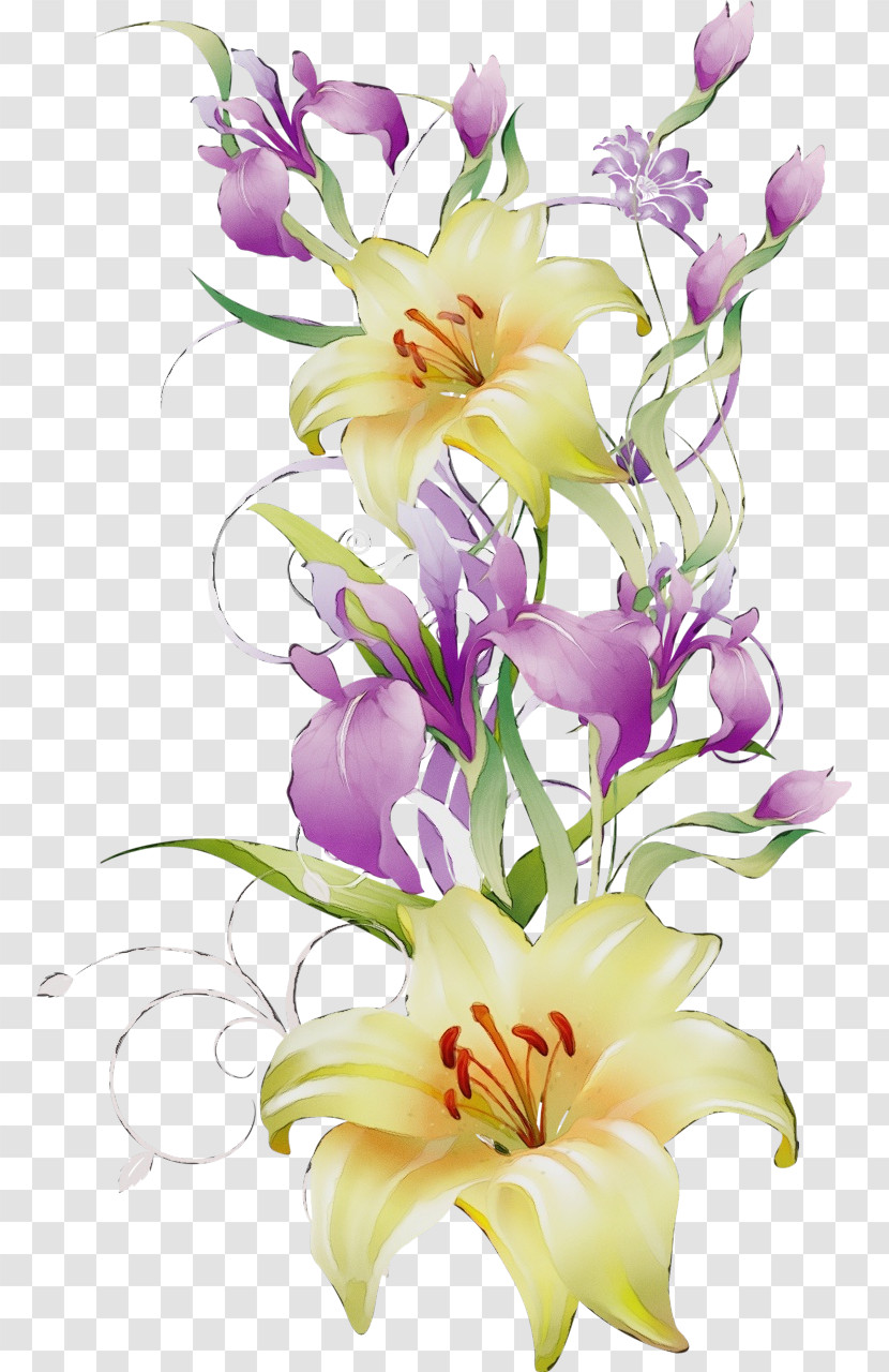 Floral Design Transparent PNG