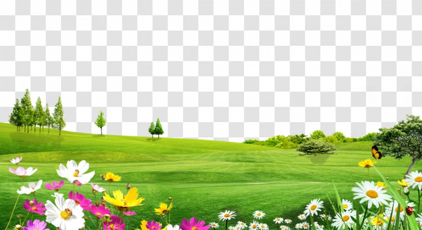 Trees Landscape Material Meadow Flowers - Tree - Watercolor Transparent PNG