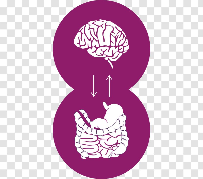 Knowledge Irritable Bowel Syndrome Gut–brain Axis Art Clip - Frame - Gut Brain Transparent PNG