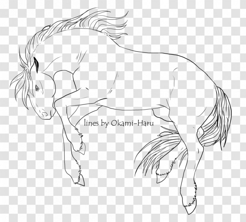 Mane Mustang Halter Pack Animal Sketch - Artwork Transparent PNG