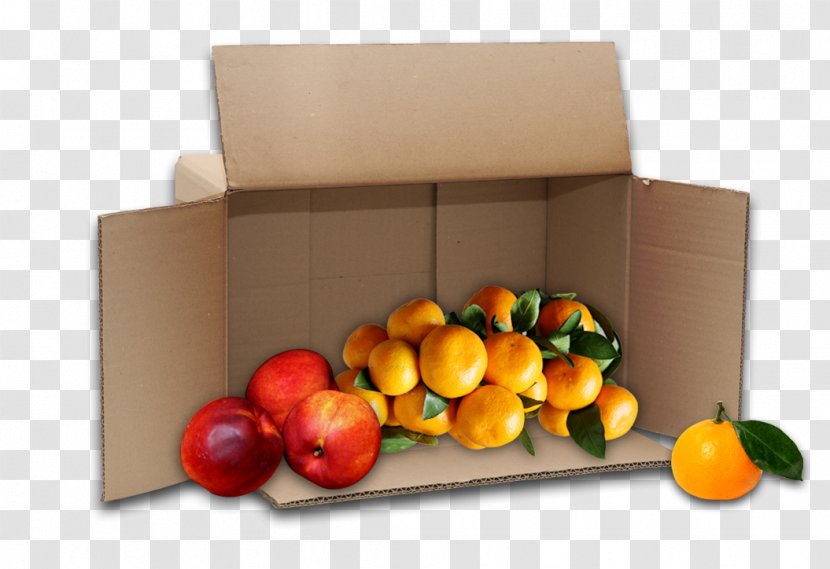 Paper Box Fruit Auglis Citrus - Boxes Transparent PNG