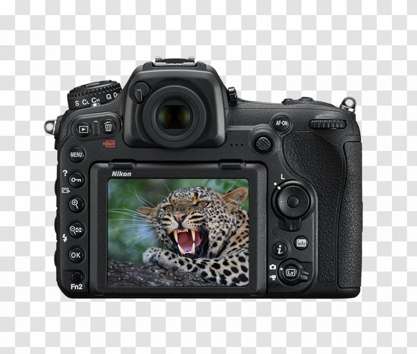 Digital SLR Nikon DX Format AF-S Nikkor 35mm F/1.8G Camera - Mirrorless Interchangeable Lens Transparent PNG