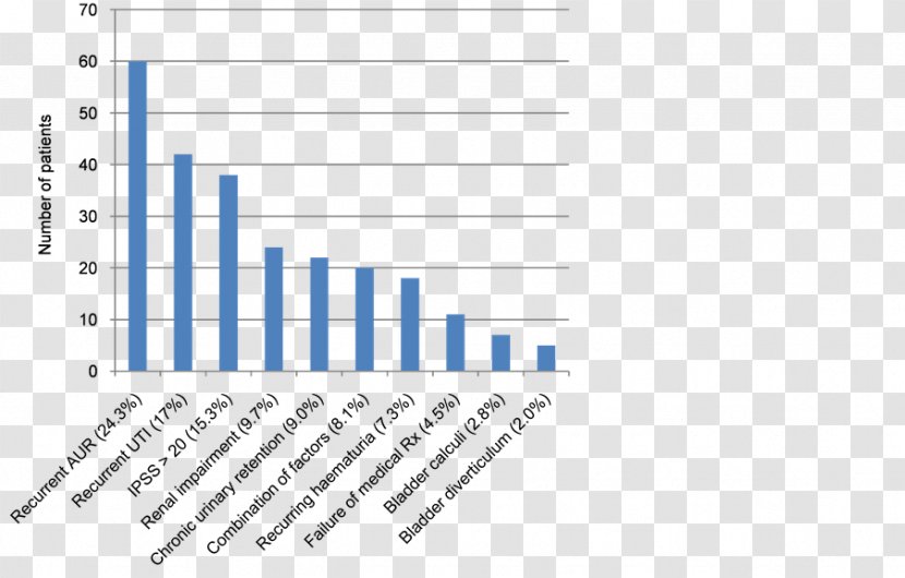 Statistics Research Boeing 787 Dreamliner Pareto Chart - Tree - Management Of Hypertension Transparent PNG