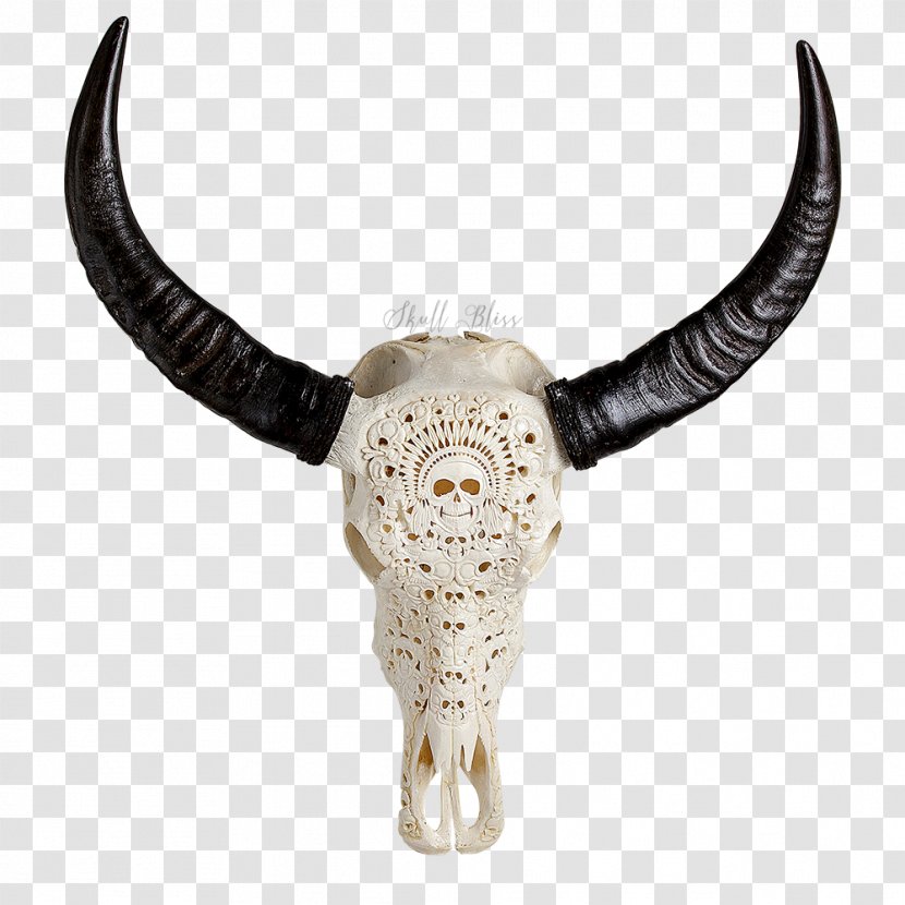 Animal Skulls Cattle Horn Bone - Skull - Buffalo Transparent PNG