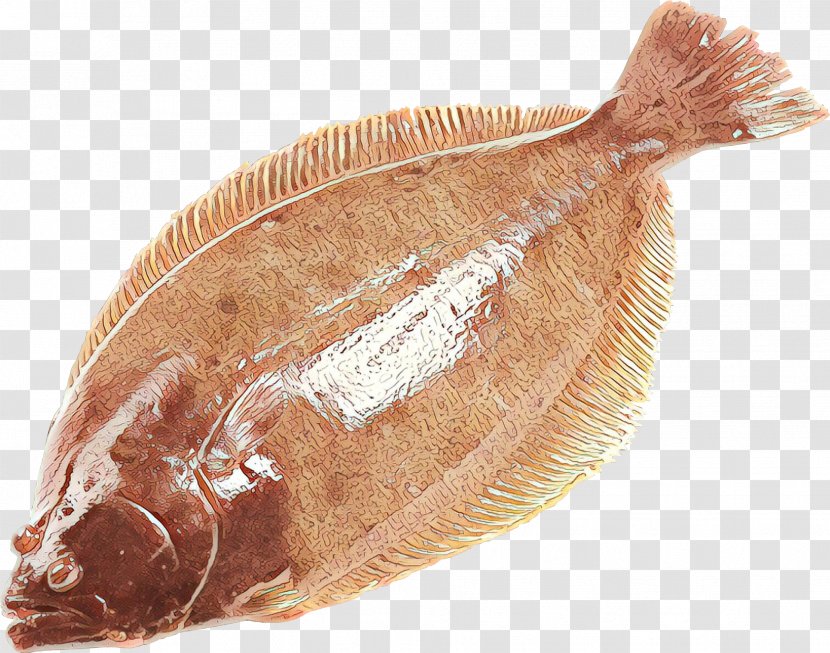 Flatfish Sole Fish Flounder - Seafood Saltcured Meat Transparent PNG