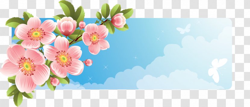 Flower Banner - Photography - Floral Transparent PNG