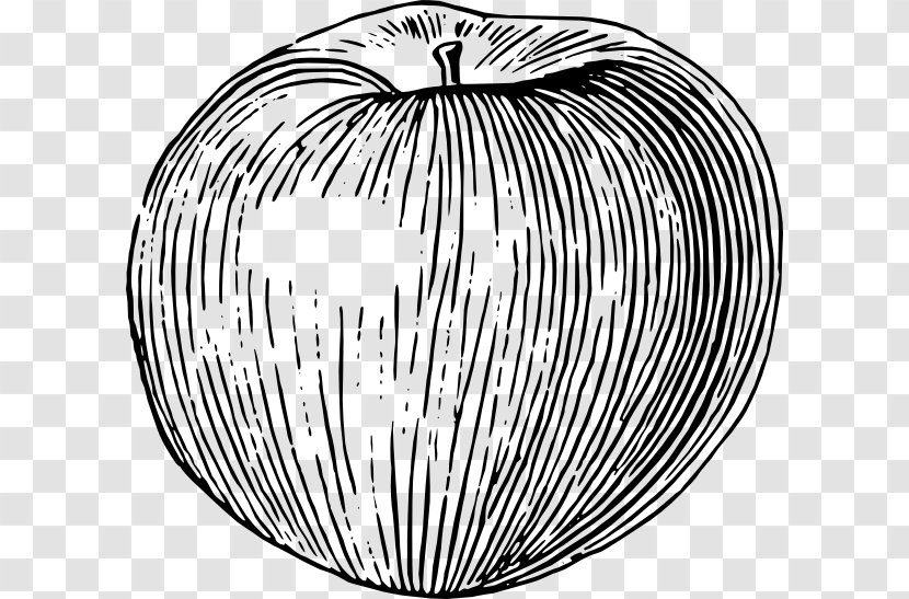 Drawing Apple Fruit Clip Art - Line Transparent PNG