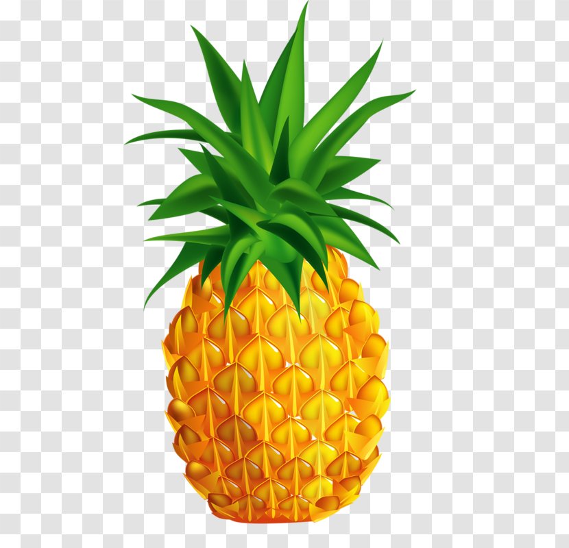 Juice Pineapple Stock Photography Illustration Transparent PNG